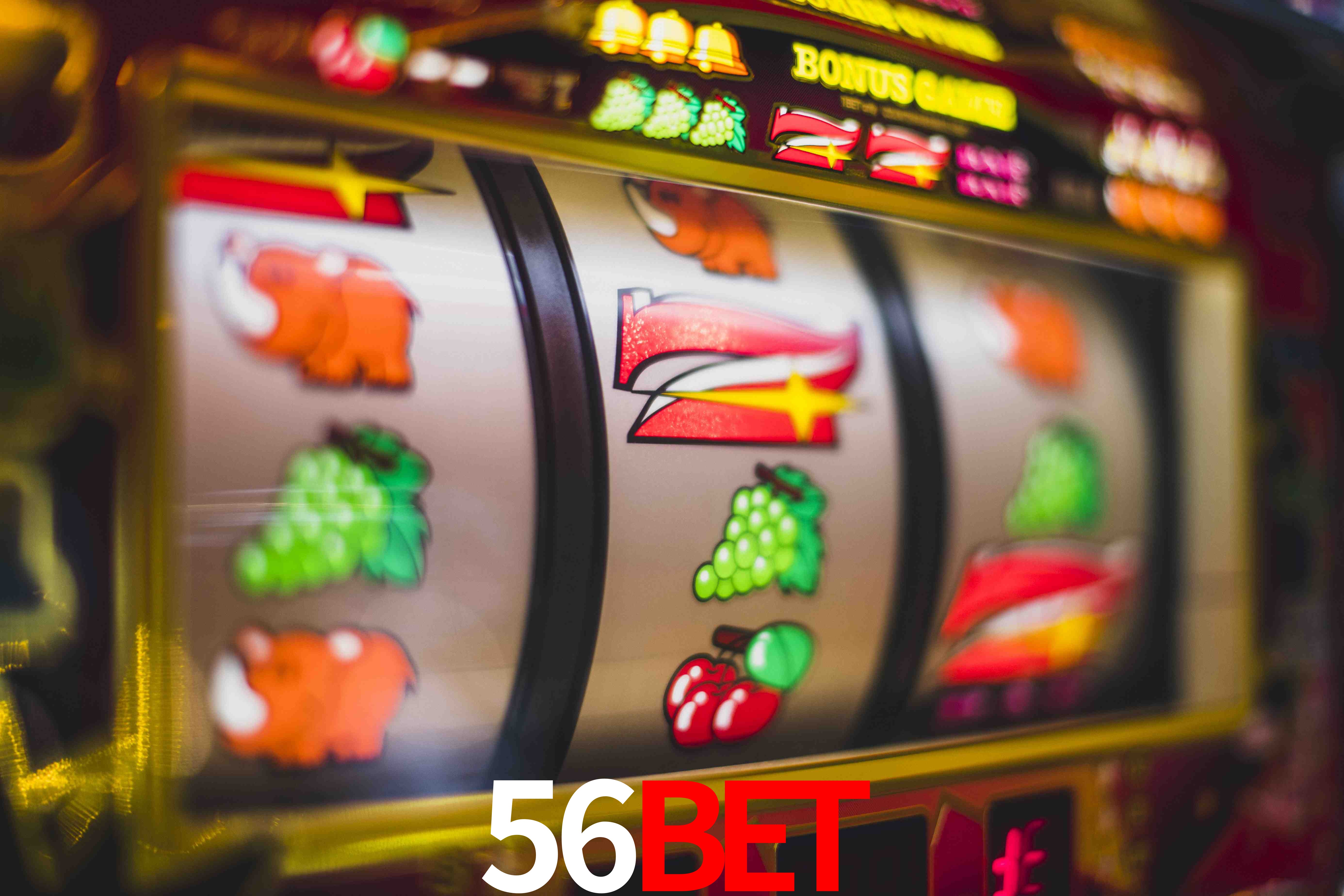Live Casino 56Bet